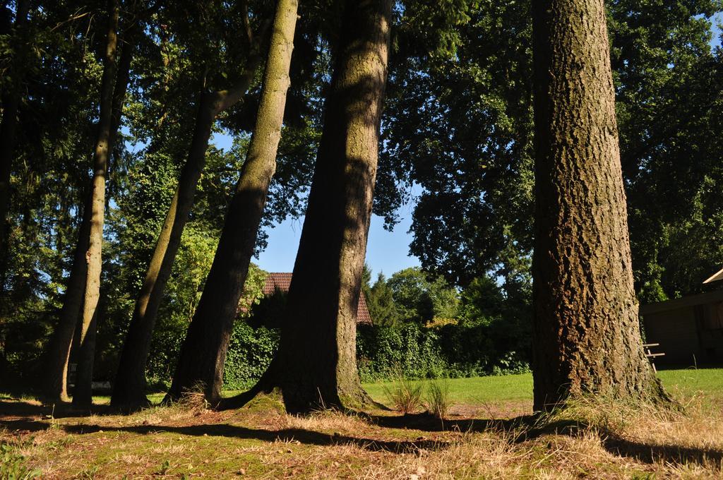 ホテルPuur Lage Vuursche ビルトホーフェン エクステリア 写真
